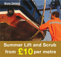 summer scrub